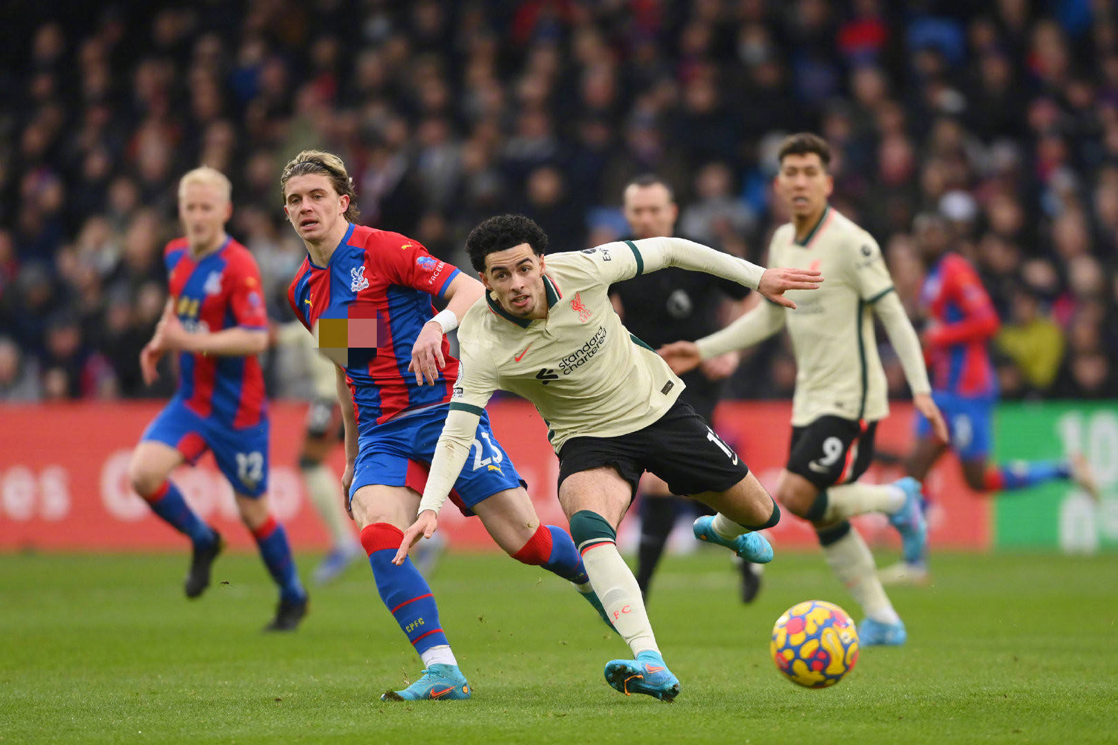 会进行反击 会进行反击